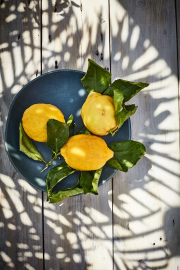 Green Verdigris Lemons