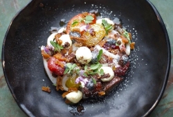 HR8 Delhi Black - Coal Office